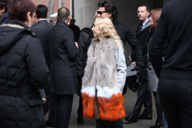 img_0057_948117218_north_883x