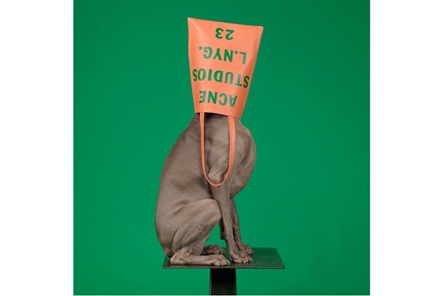 item1_rendition_slideshowVertical_wegman-acne-2