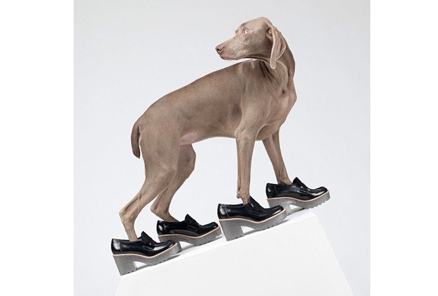 item2_rendition_slideshowVertical_wegman-acne-3