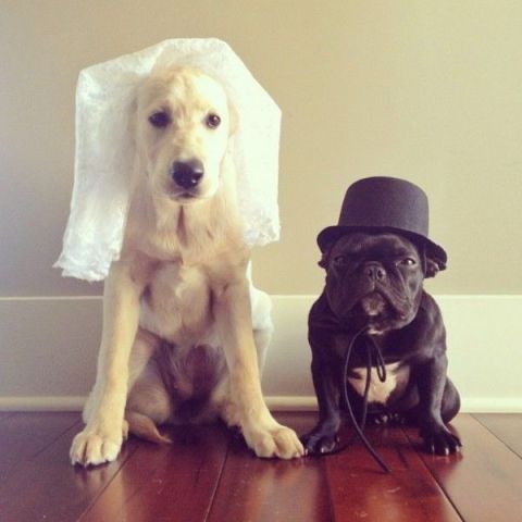 033e1a8b0b6db1723543ebd76a01f6d0