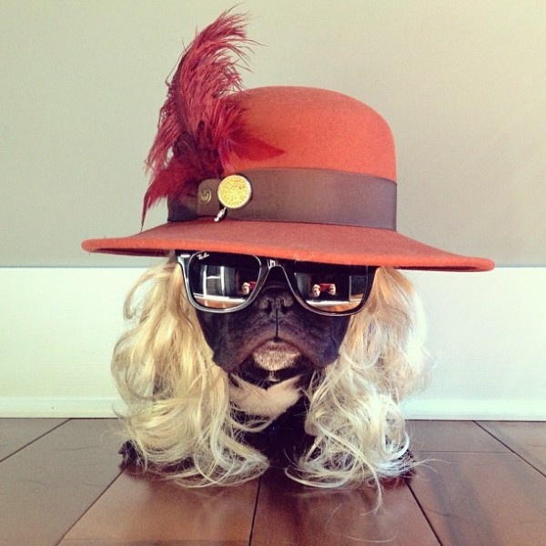 0f9079b8af46d5c9c7708b012fdbc97a