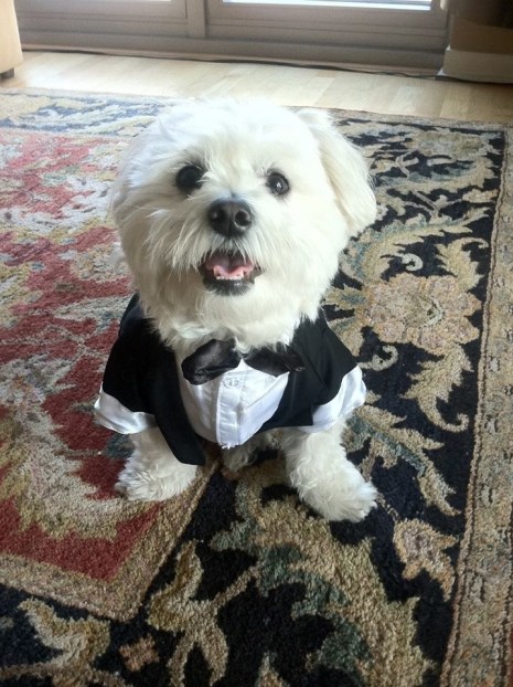 a6ba759c2cb9c970d05f7cabd9c3741f