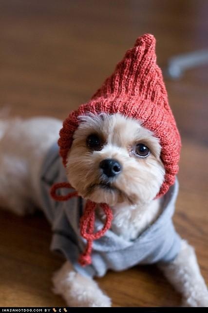 bc36c4657a93048185cc56b4459db6ed