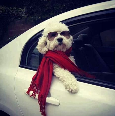 c2e620f3293151747742a97666140a41