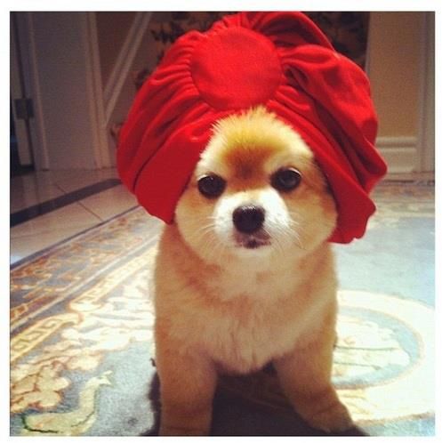 fb734898a537eb2f31cccca2a53ea785