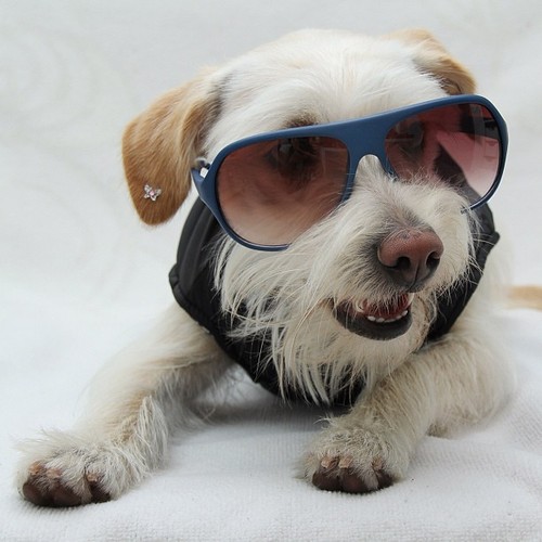 tumblr_me66t7gpa51revdbao1_500