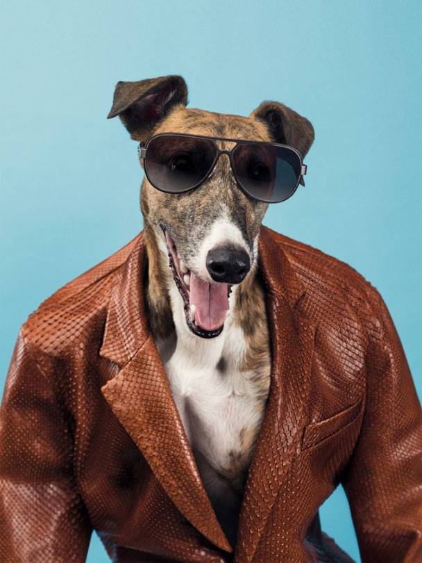 1011455_10152252855450555_2043523118_n