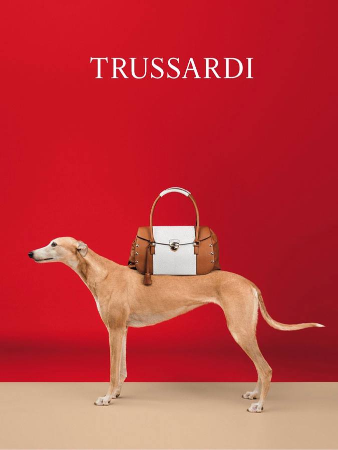 1545235_10152252855420555_1552881611_n