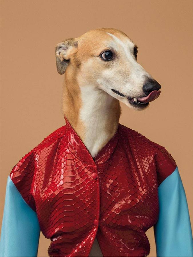 482492_10152252855415555_1809169471_n