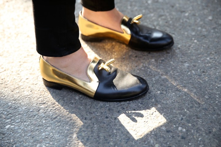 487_822755619_north_883x