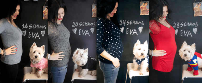 Captura de ecrã 2014-04-19, às 12.32.11