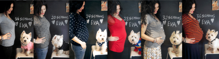 Captura de ecrã 2014-06-11, às 09.52.40